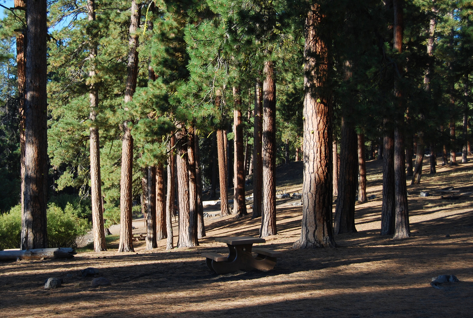 US12 0919 001 Lassen NP, CA