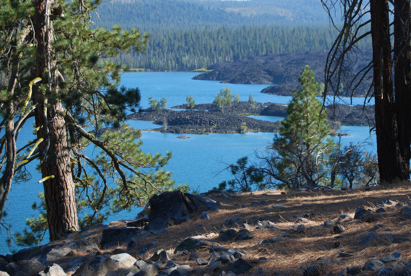 US12 0919 044 Butte Lake, Lassen NP, CA