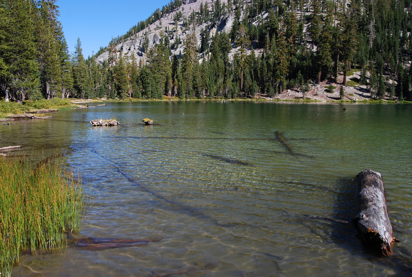 US12 0920 024 Cliff Lake, Lassen NP, CA