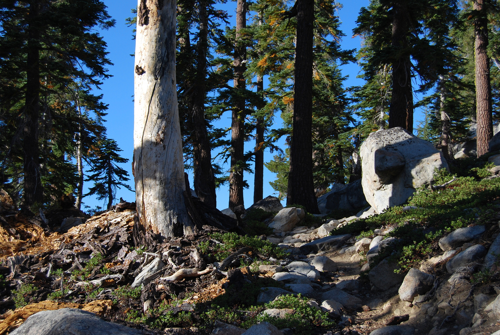 US12 0922 048 PCT, Lake Tahoe Basin, CA