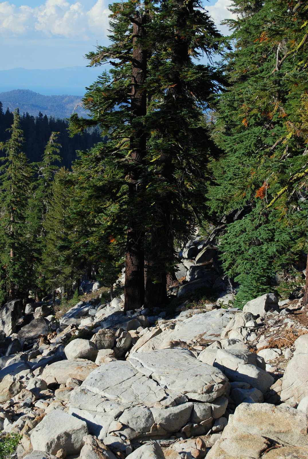 US12 0922 050 PCT, Lake Tahoe Basin, CA