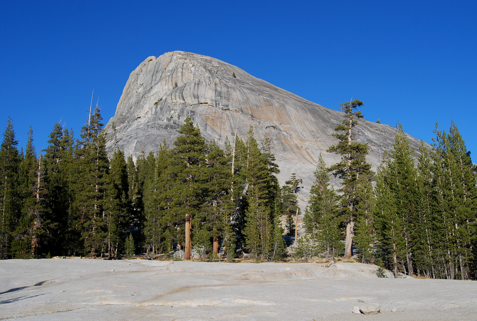 US12 0924 085 Lembert Dome, Yosemite NP, CA