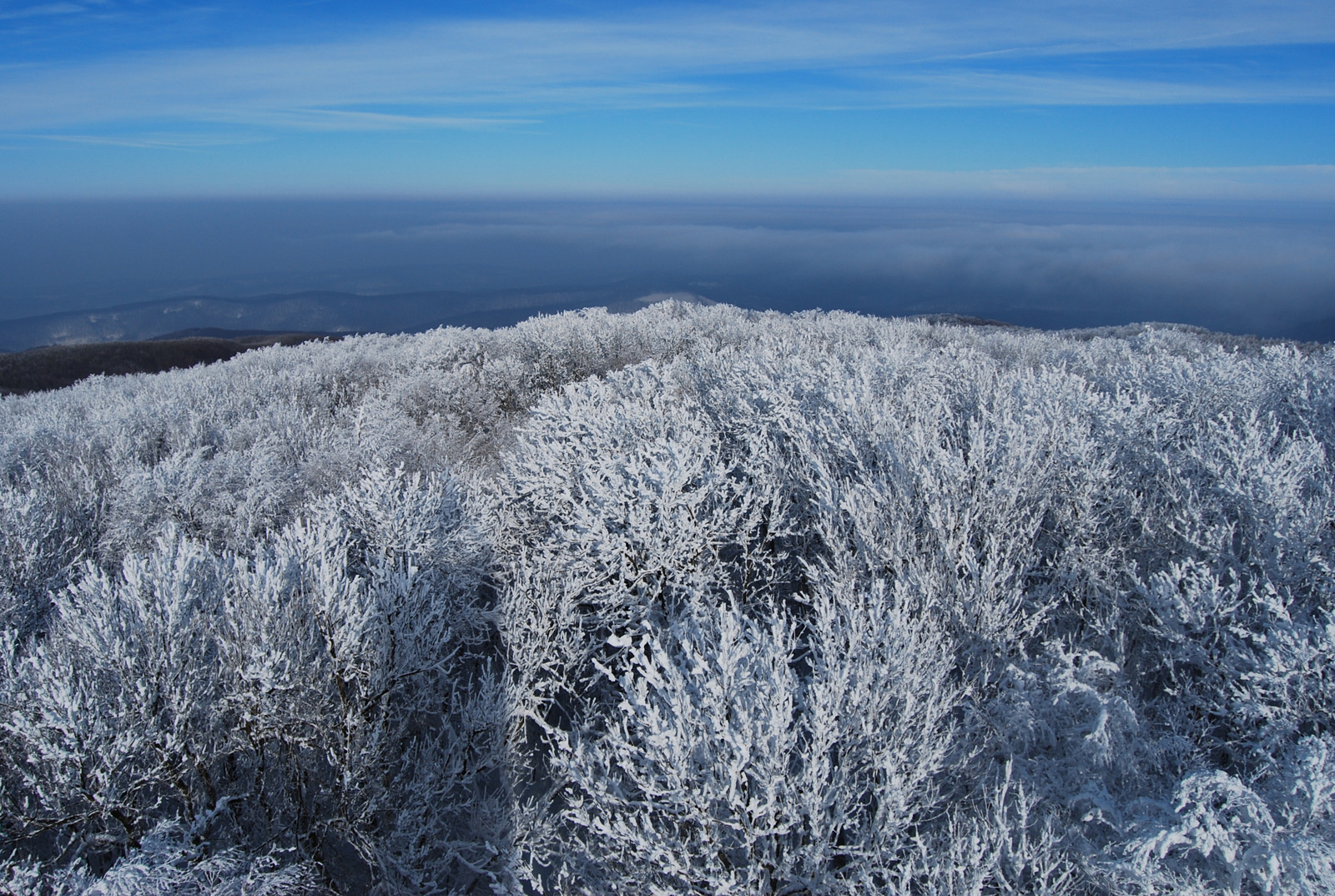 20130119 Börzsöny 073