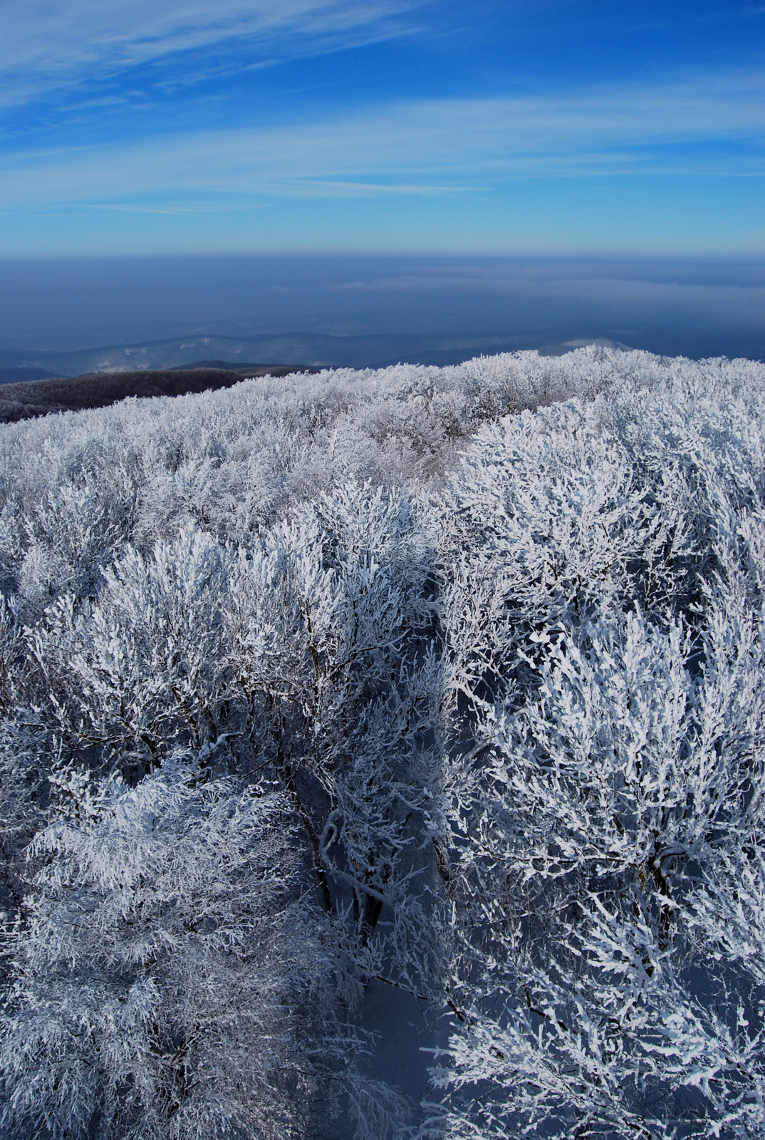 20130119 Börzsöny 074