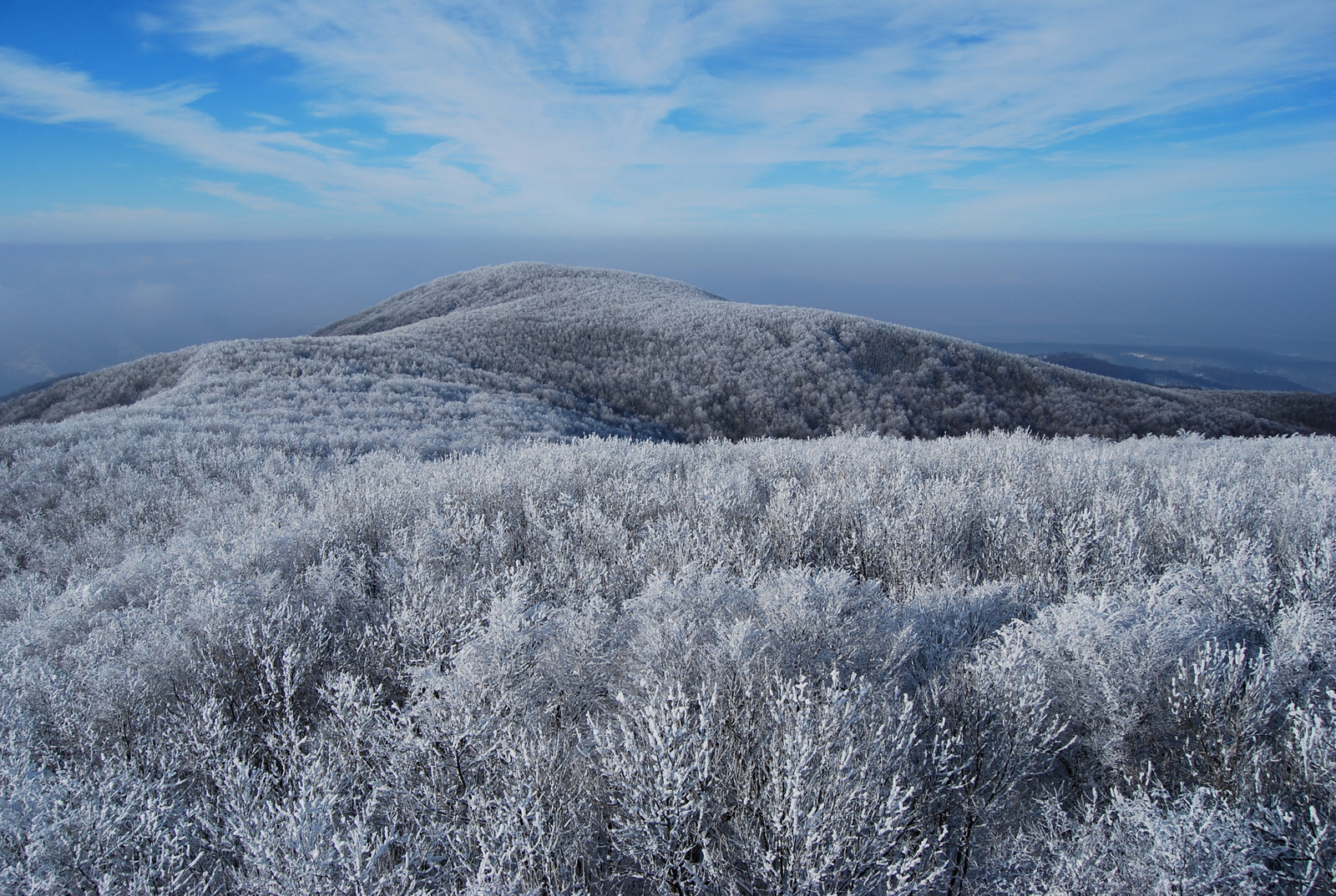 20130119 Börzsöny 081