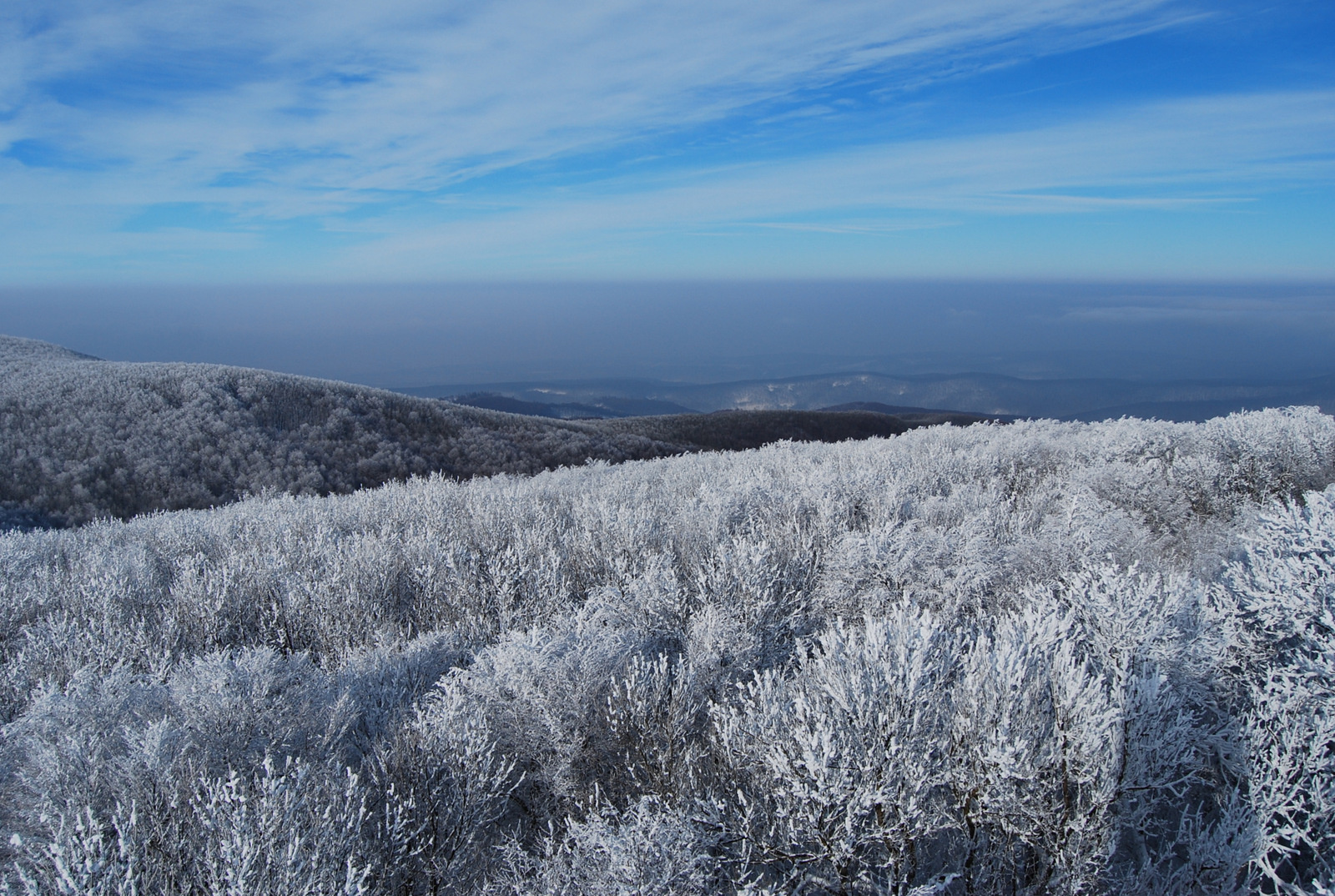 20130119 Börzsöny 082