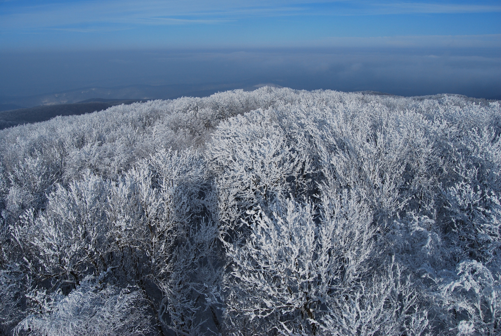 20130119 Börzsöny 095