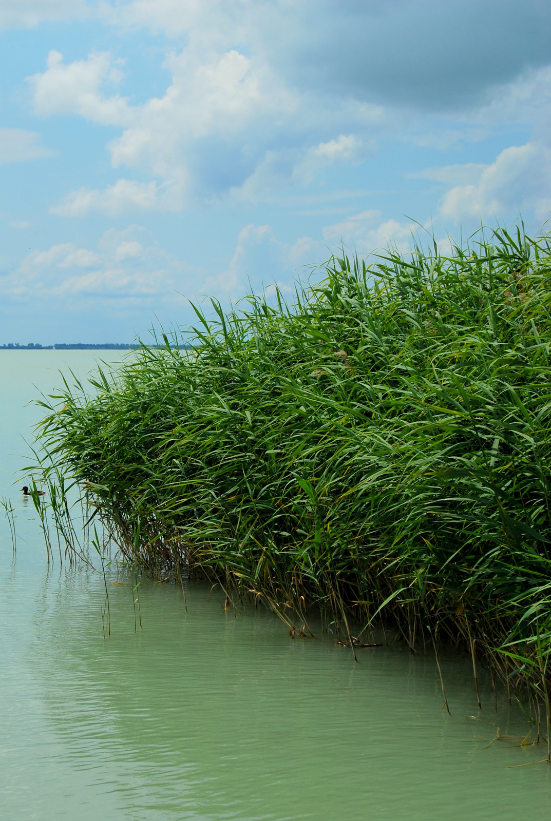 20130630 019 Balaton