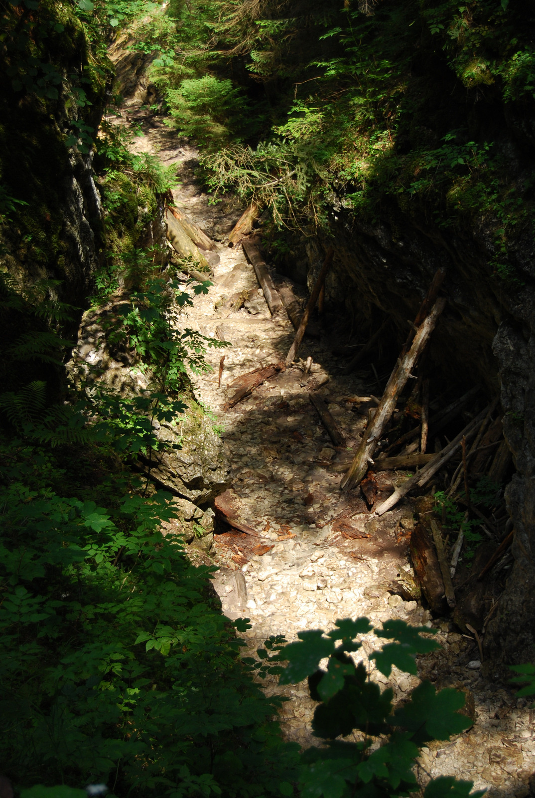 20130728 063 Klástorská roklina