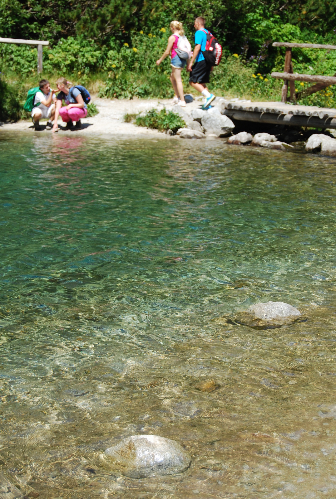 20130729 026 Zelené pleso