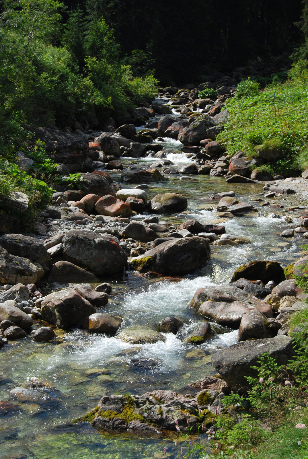 20130802 040 Javorová dolina