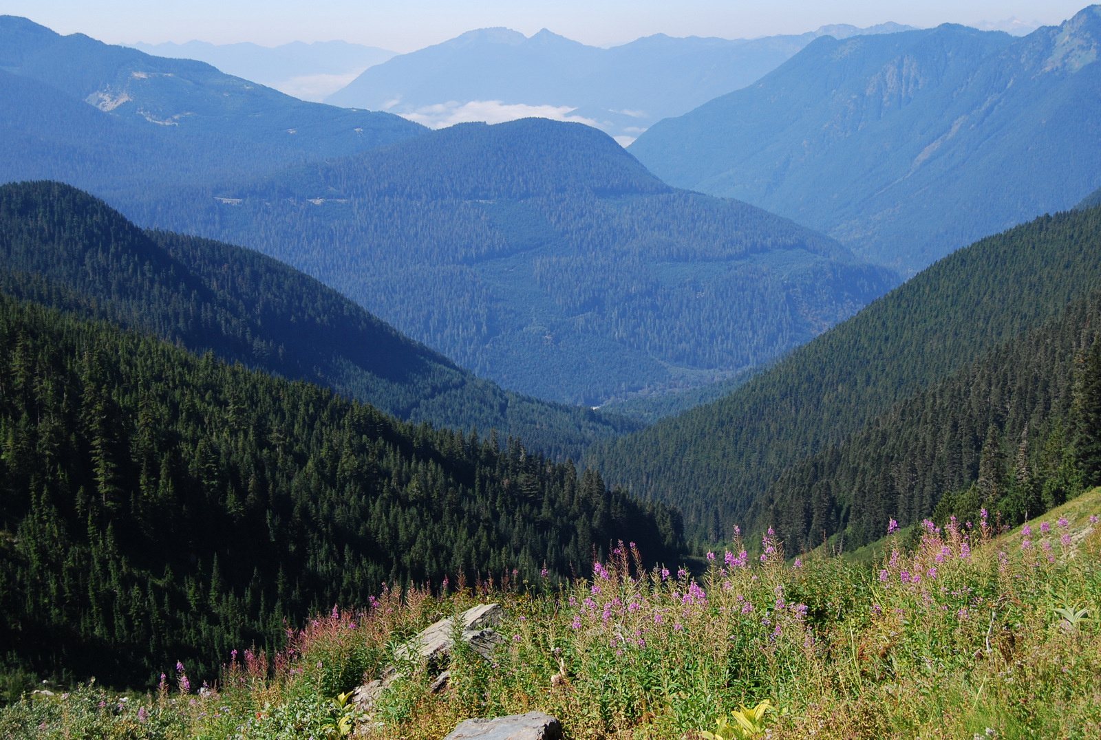 US13 0913 011 Hidden Lake Trail, North Cascades NP, WA