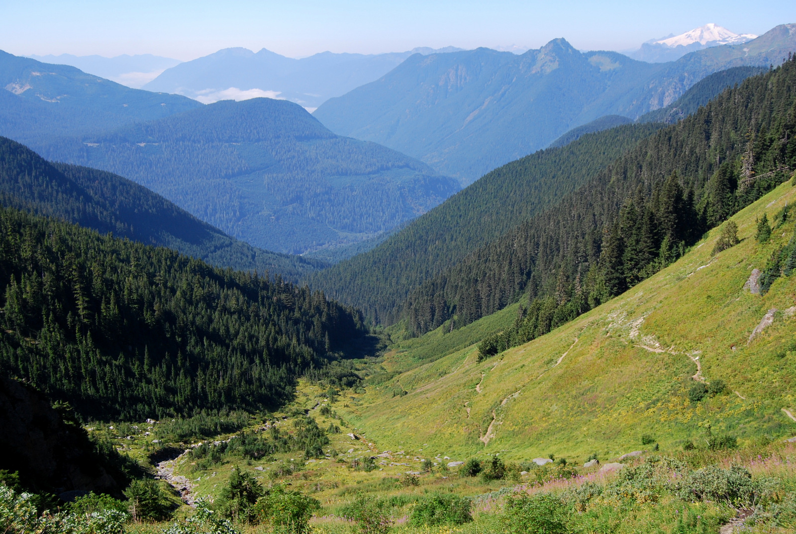 US13 0913 014 Hidden Lake Trail, North Cascades NP, WA