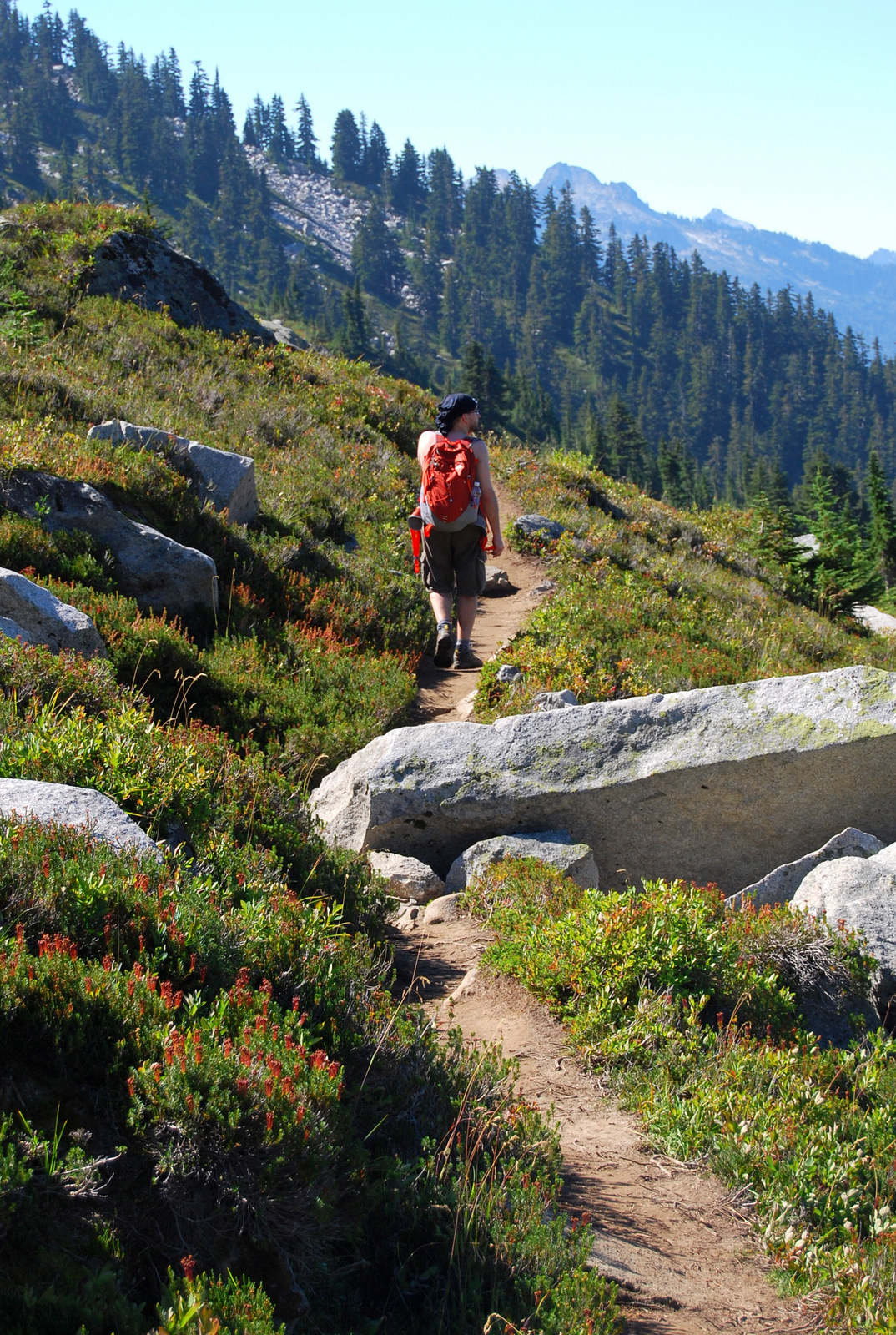 US13 0913 019 Hidden Lake Trail, North Cascades NP, WA