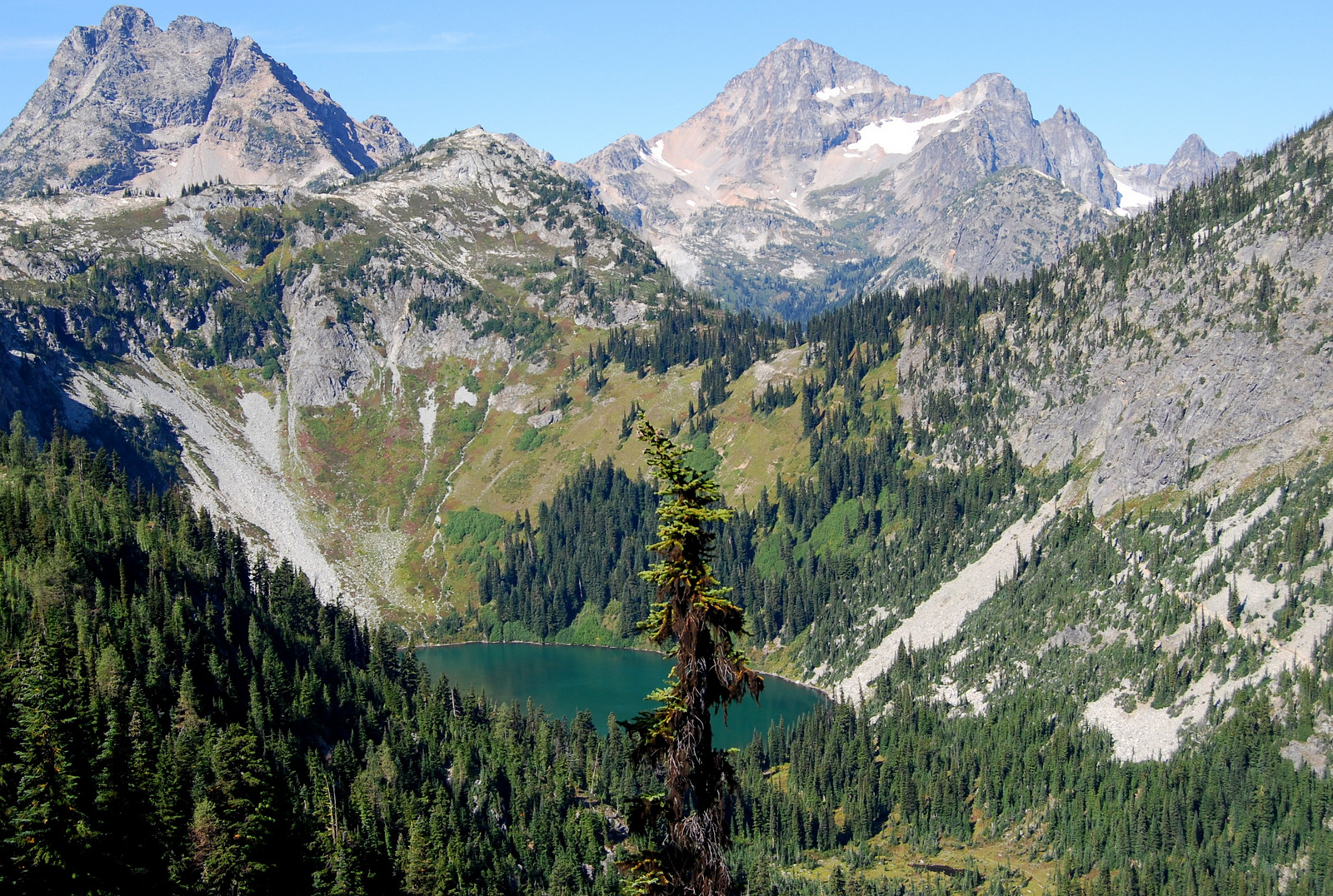 US13 0914 014 Maple Loop Trail, North Cascades NP, WA