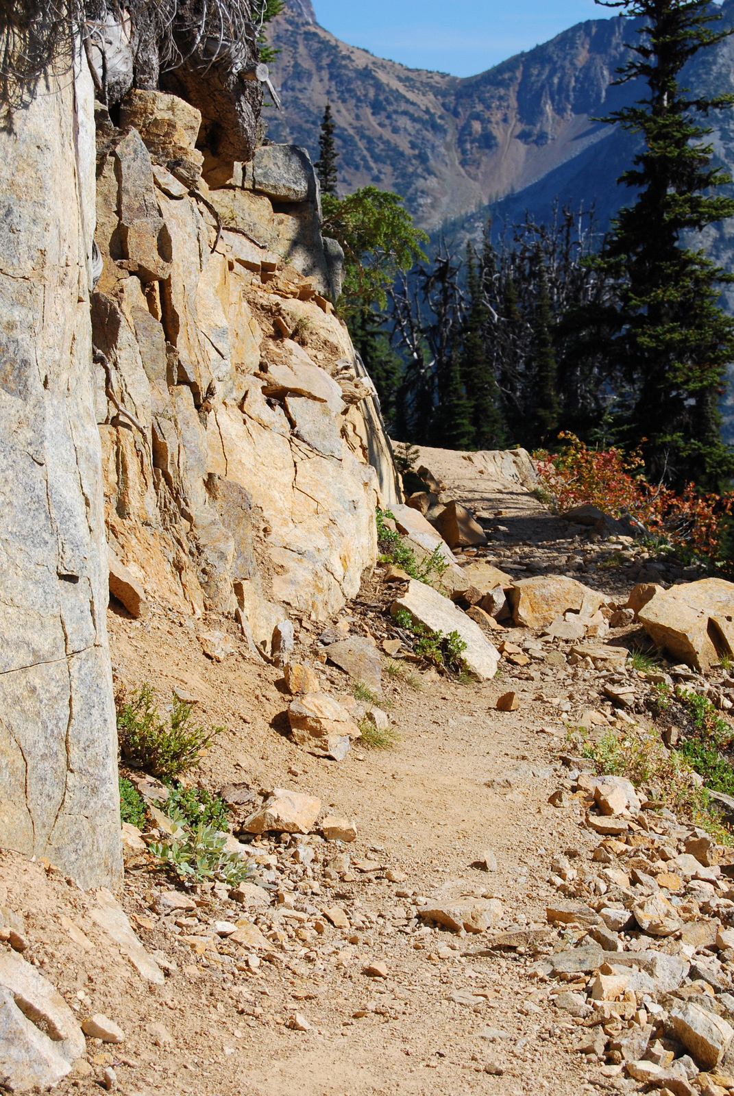 US13 0914 018 Maple Loop Trail, North Cascades NP, WA