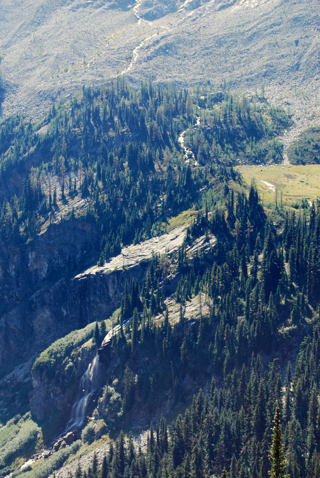 US13 0914 019 Maple Loop Trail, North Cascades NP, WA