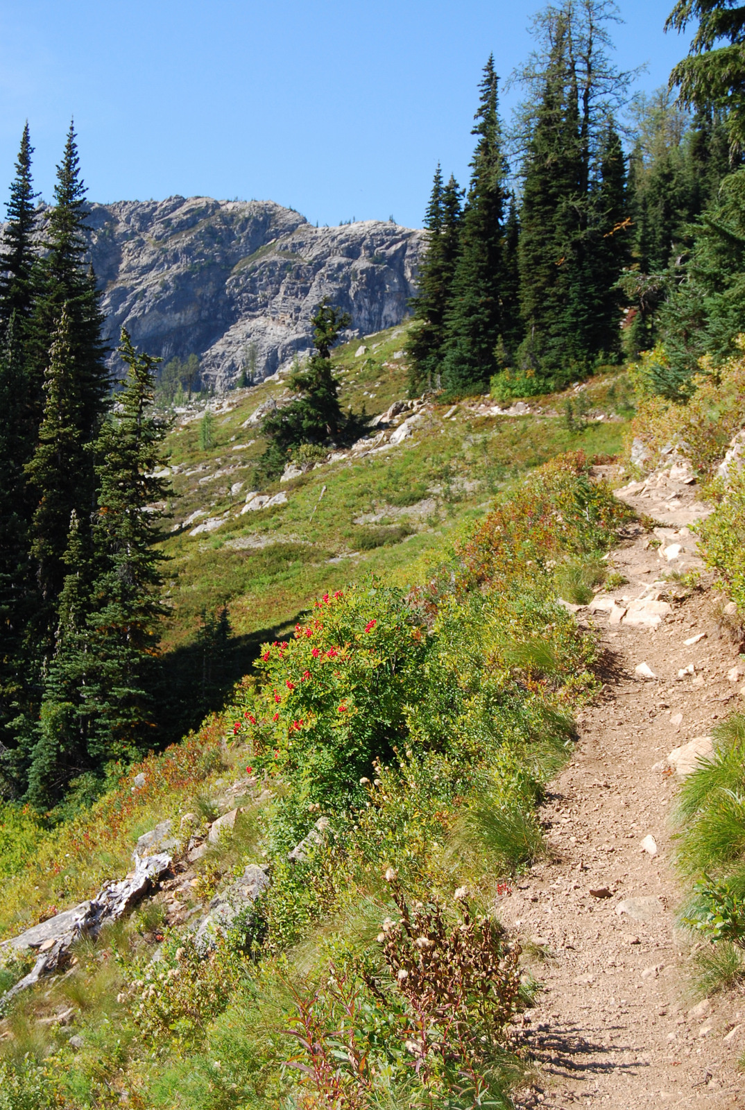 US13 0914 020 Maple Loop Trail, North Cascades NP, WA