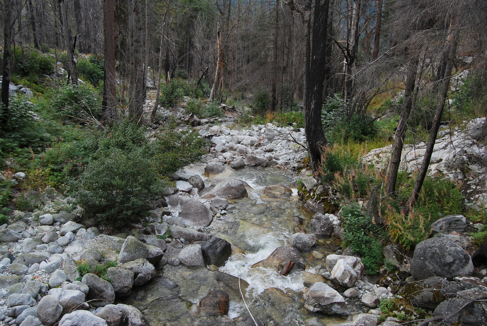 US13 0917 022 Rainbow Loop Trail, Stehekin, WA