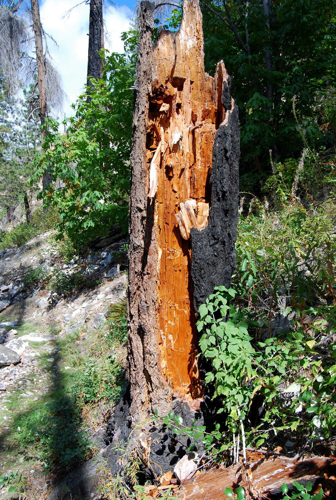 US13 0918 026 Lakeshore Trail, Stehekin, WA