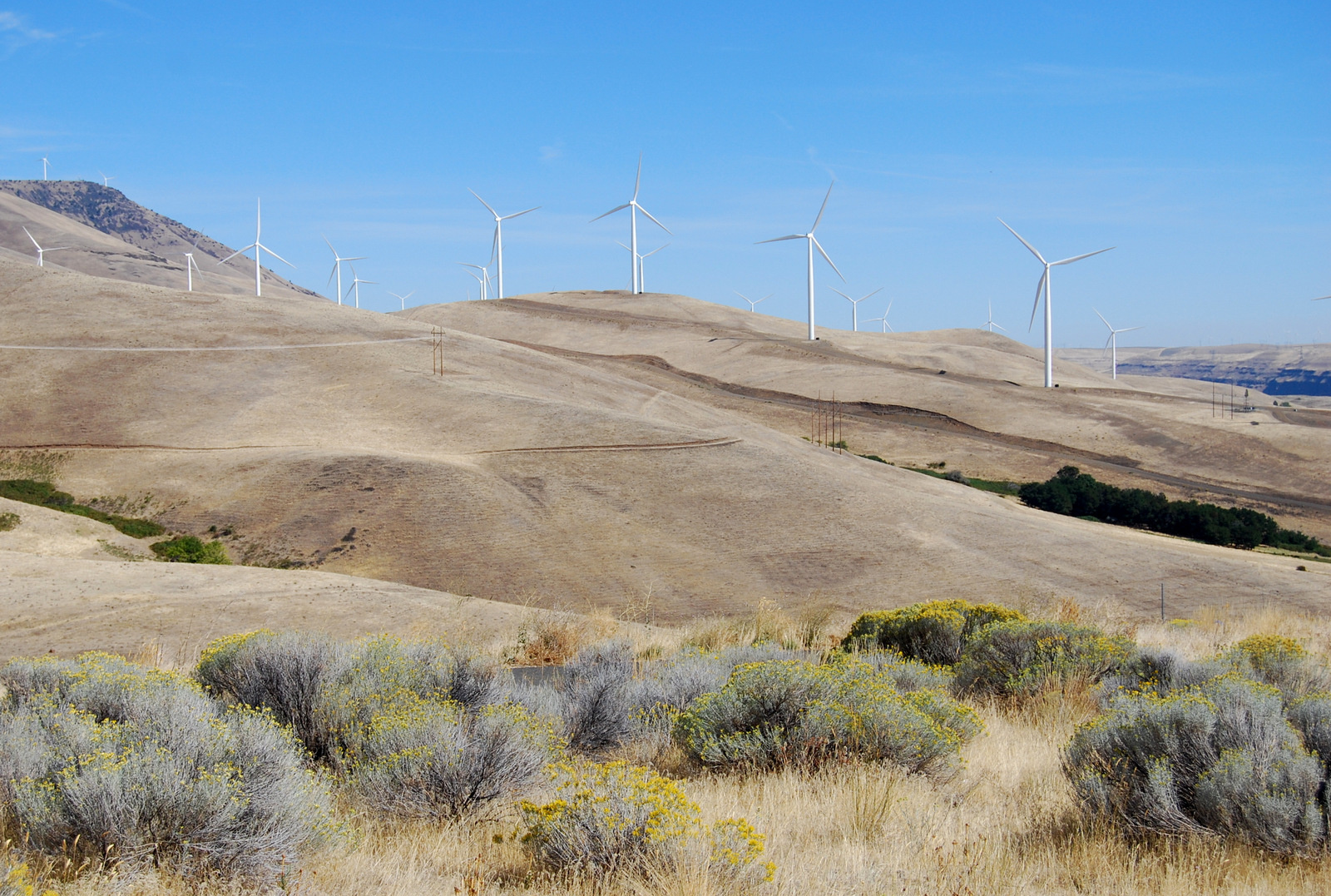 US13 0919 002 Loops Road Overlook, US97, WA