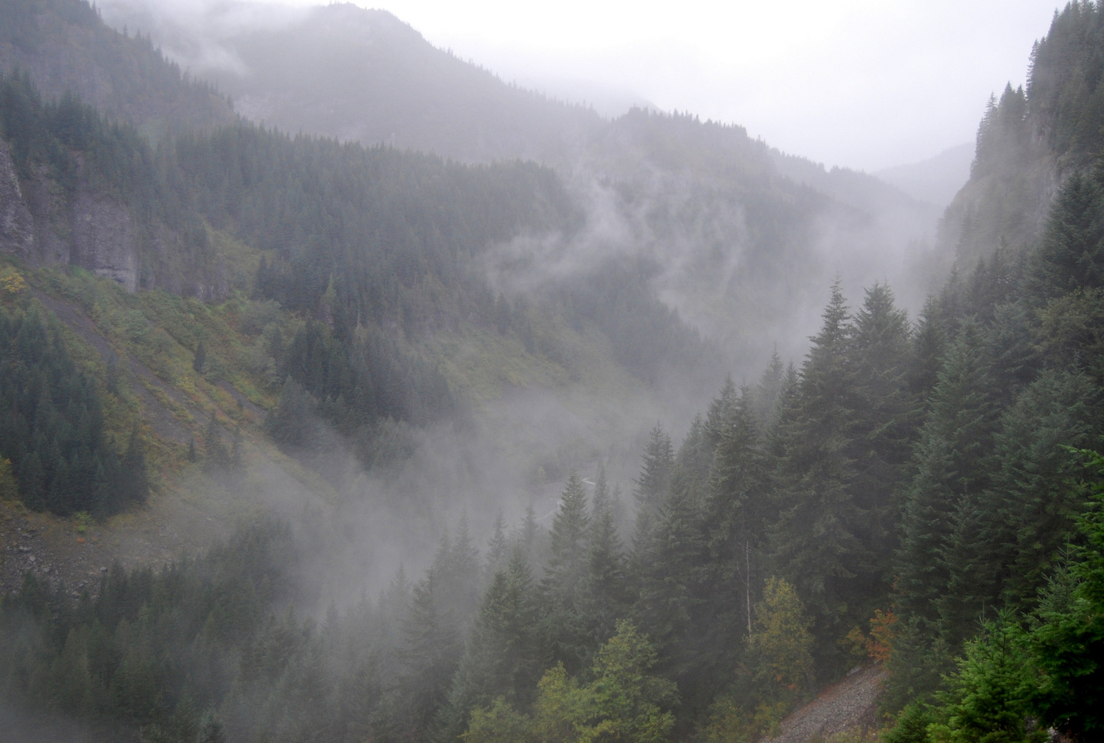 US13 0922 008 Mt.Rainier NP, WA