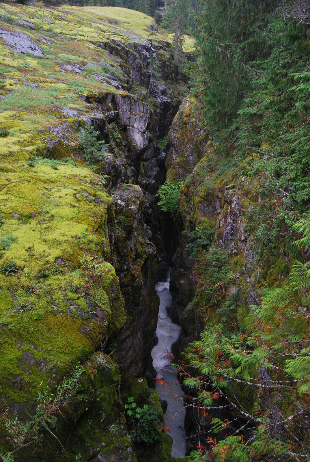 US13 0922 014 Mt.Rainier NP, WA