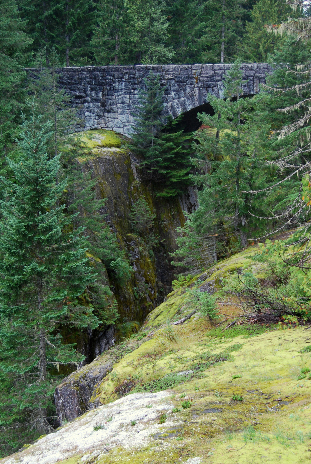 US13 0922 018 Mt.Rainier NP, WA