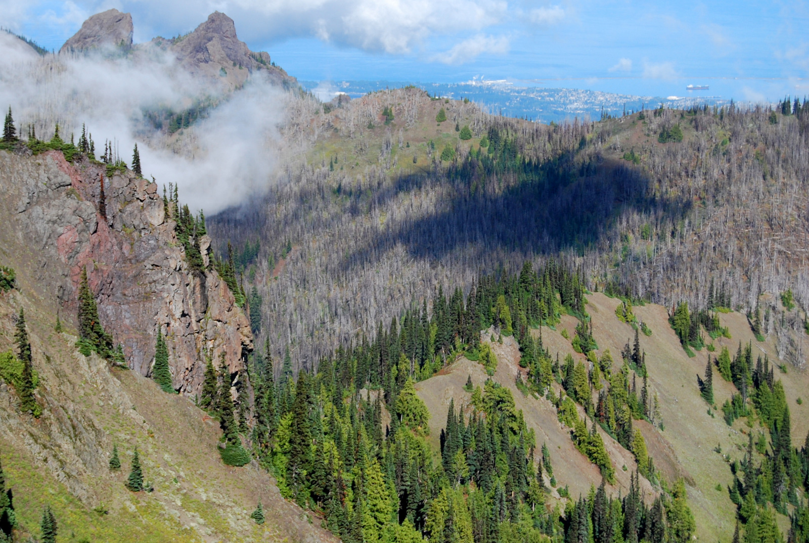 US13 0925 030 Hurricane Ridge, Olympic NP, WA