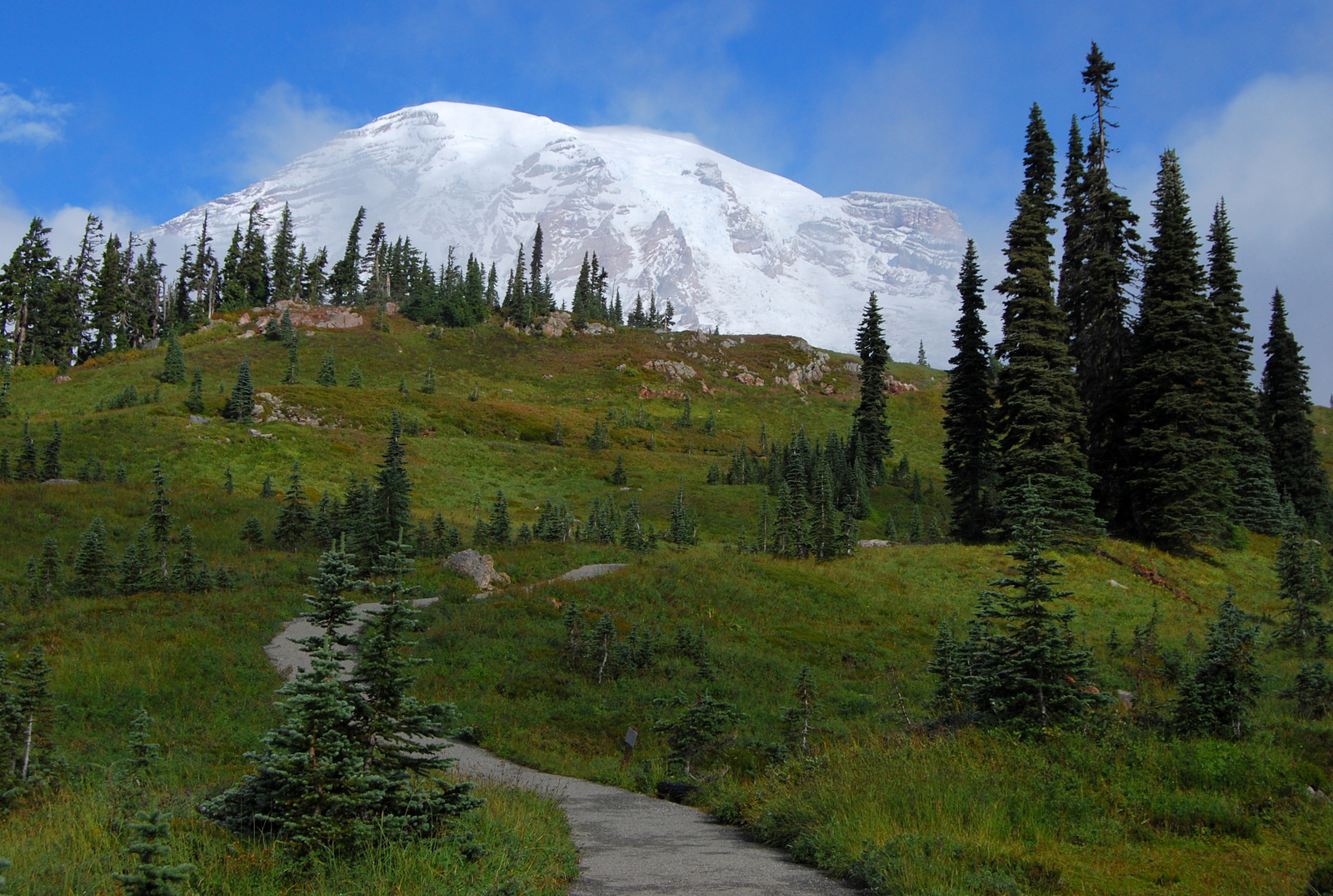 US13 0926 005 Mt.Rainier NP, WA