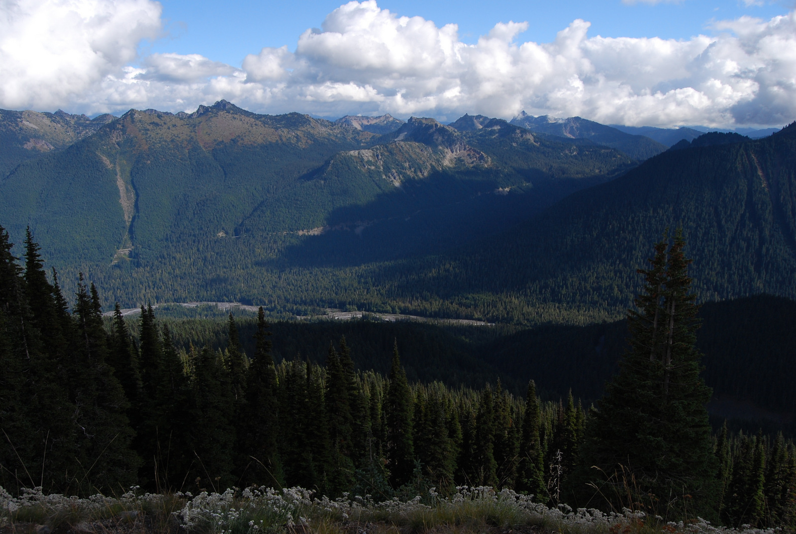 US13 0926 059 Mt.Rainier NP, WA