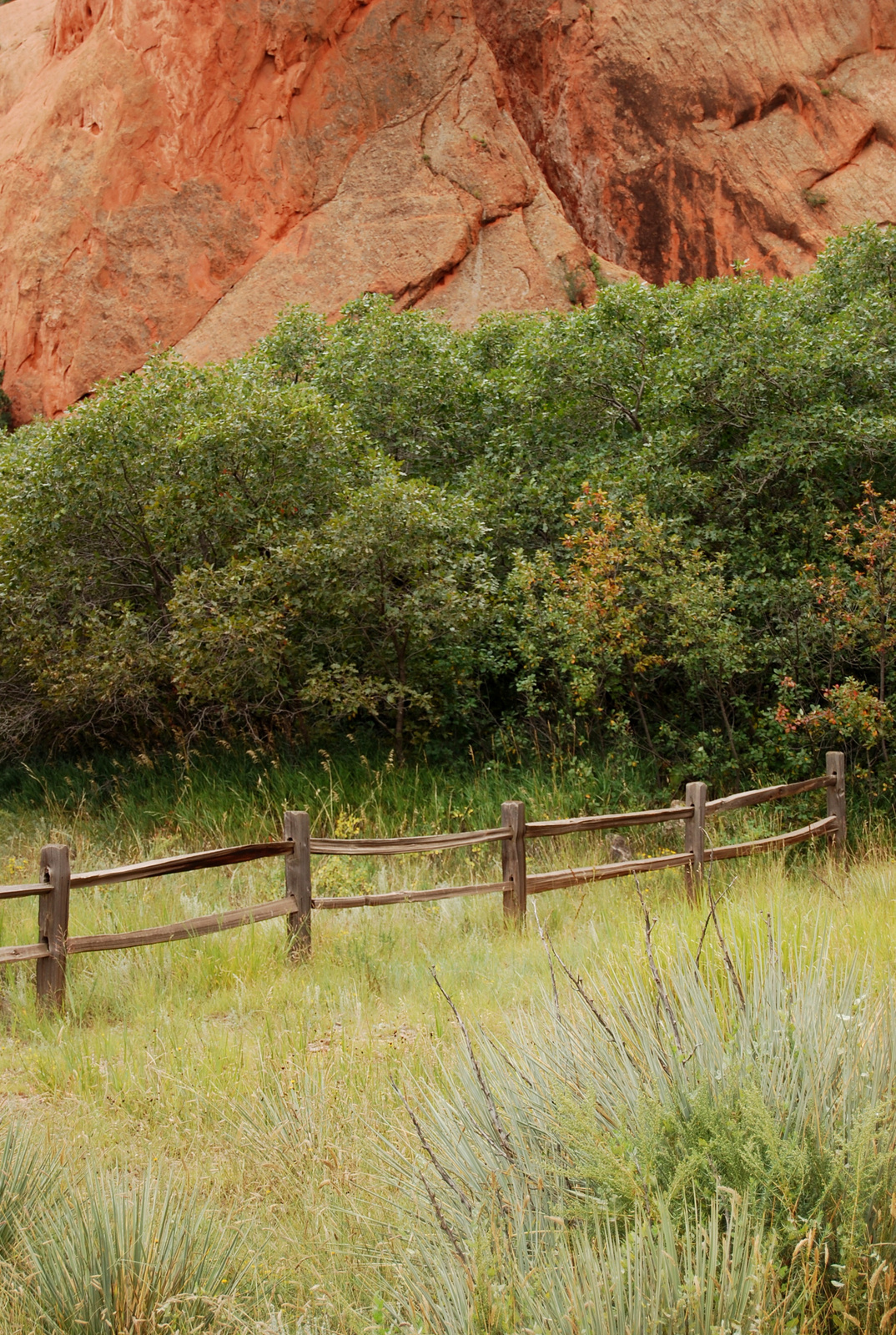 US14 0912 020 Garden Of The Gods, Colorado Springs, CO