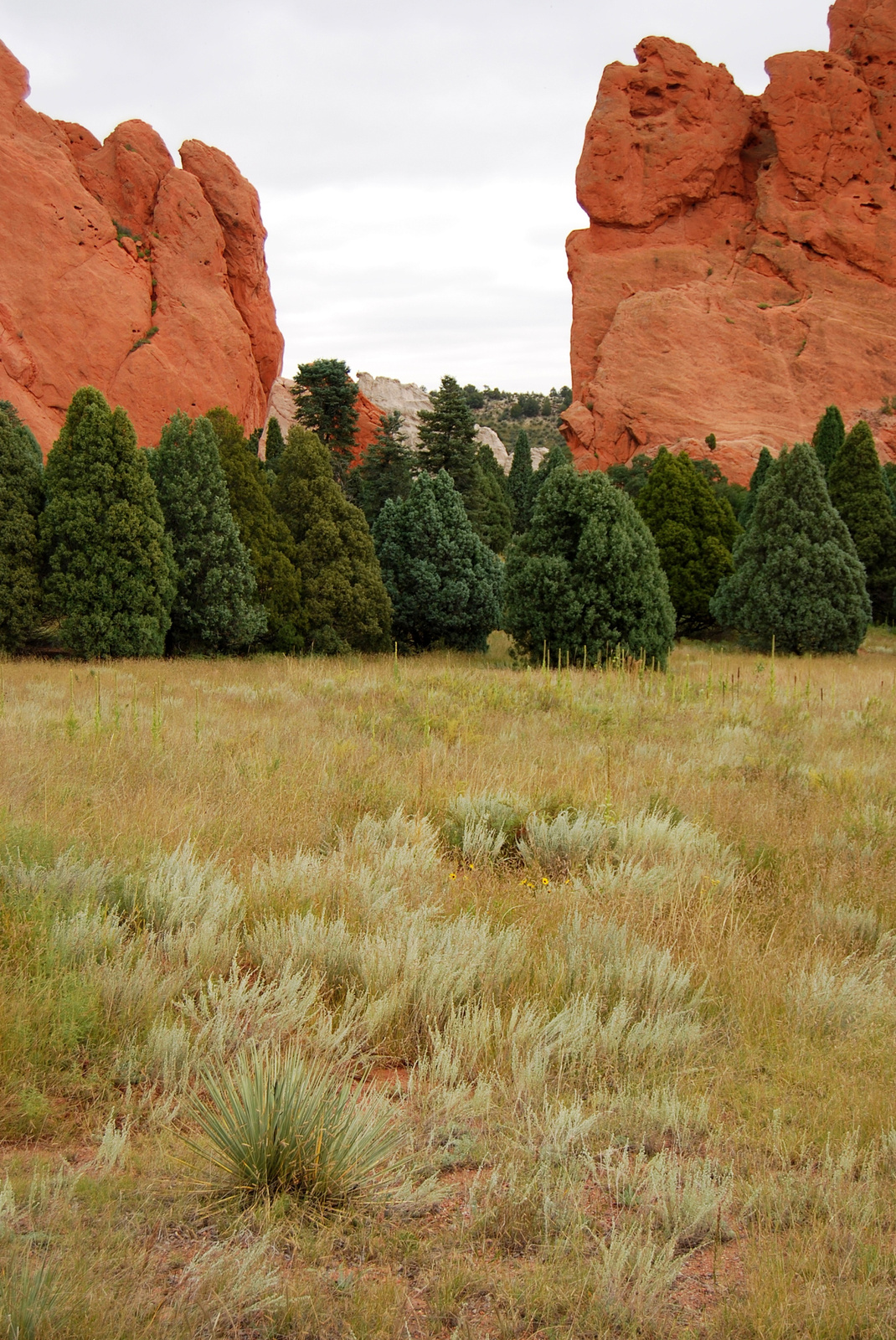 US14 0912 032 Garden Of The Gods, Colorado Springs, CO