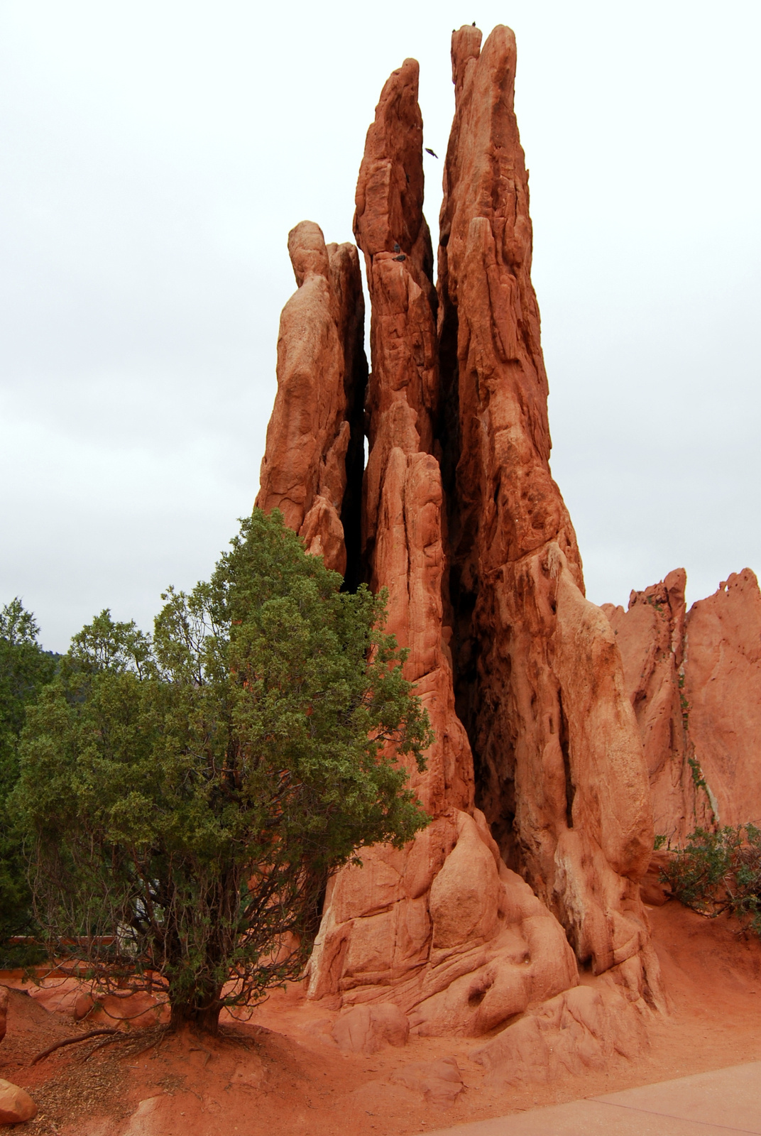 US14 0912 054 Garden Of The Gods, Colorado Springs, CO