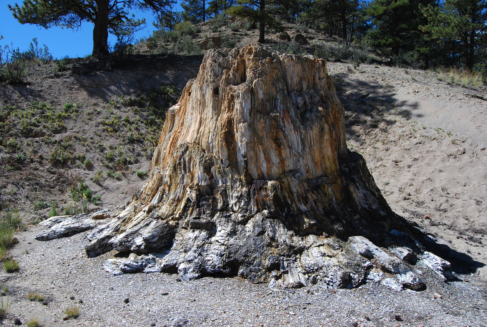 US14 0913 081 Florissant Fossil Beds NM, CO