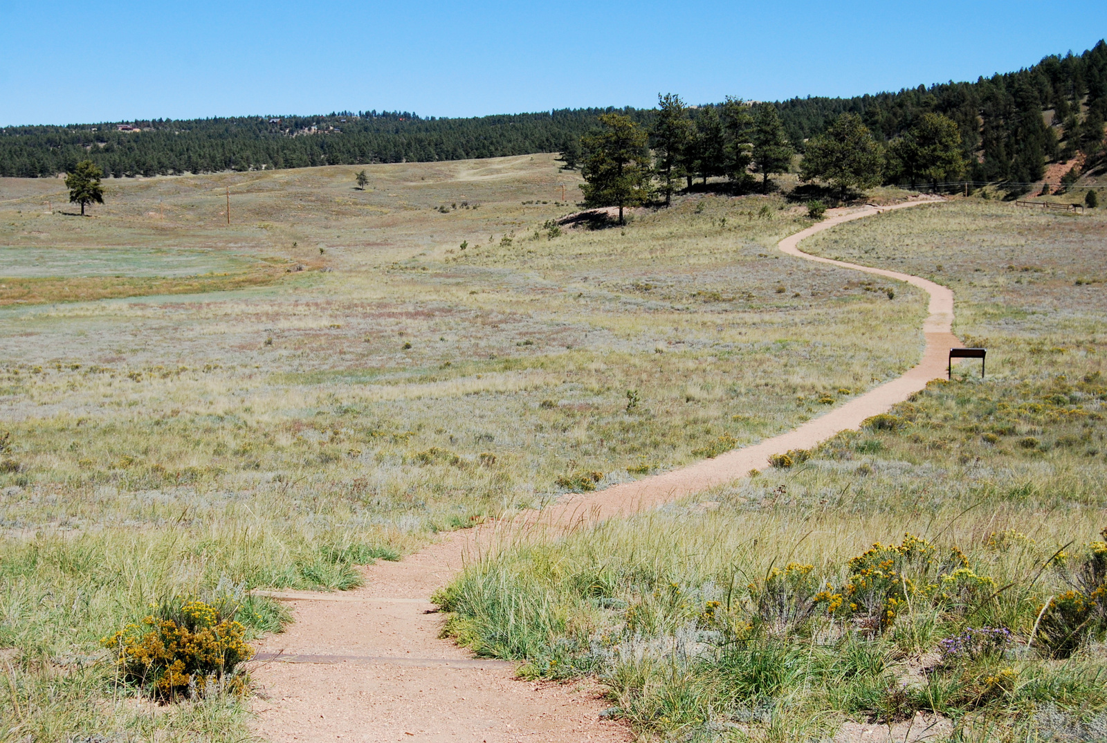 US14 0913 082 Florissant Fossil Beds NM, CO