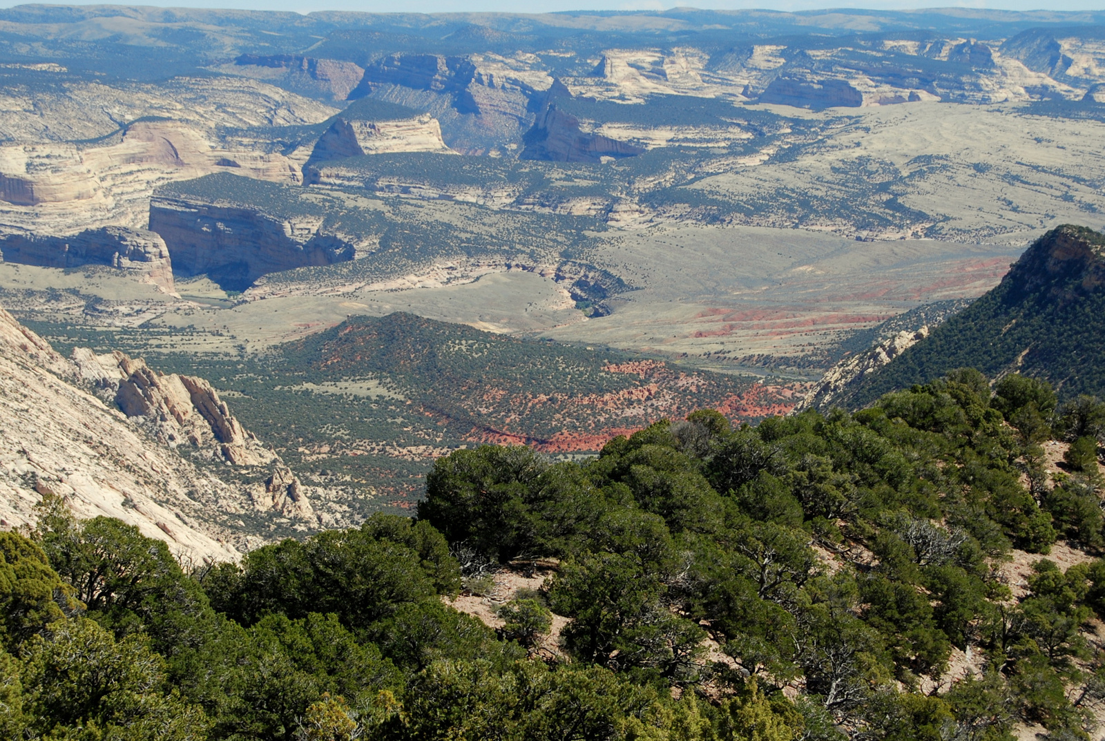 US14 0919 036 Harpers Corner Trail, Dinosaur NM, CO