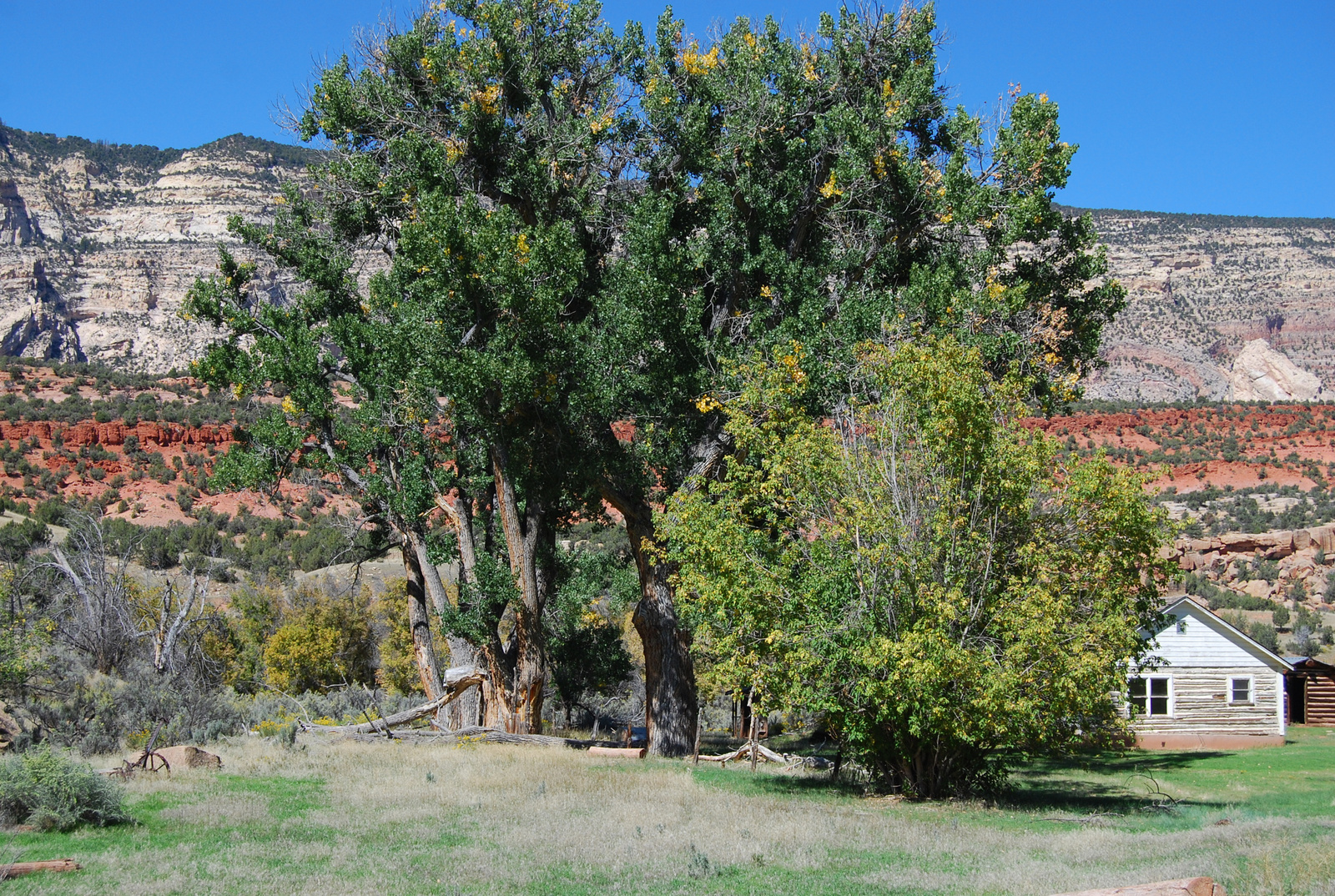 US14 0919 040 Echo Park Road, Dinosaur NM, CO