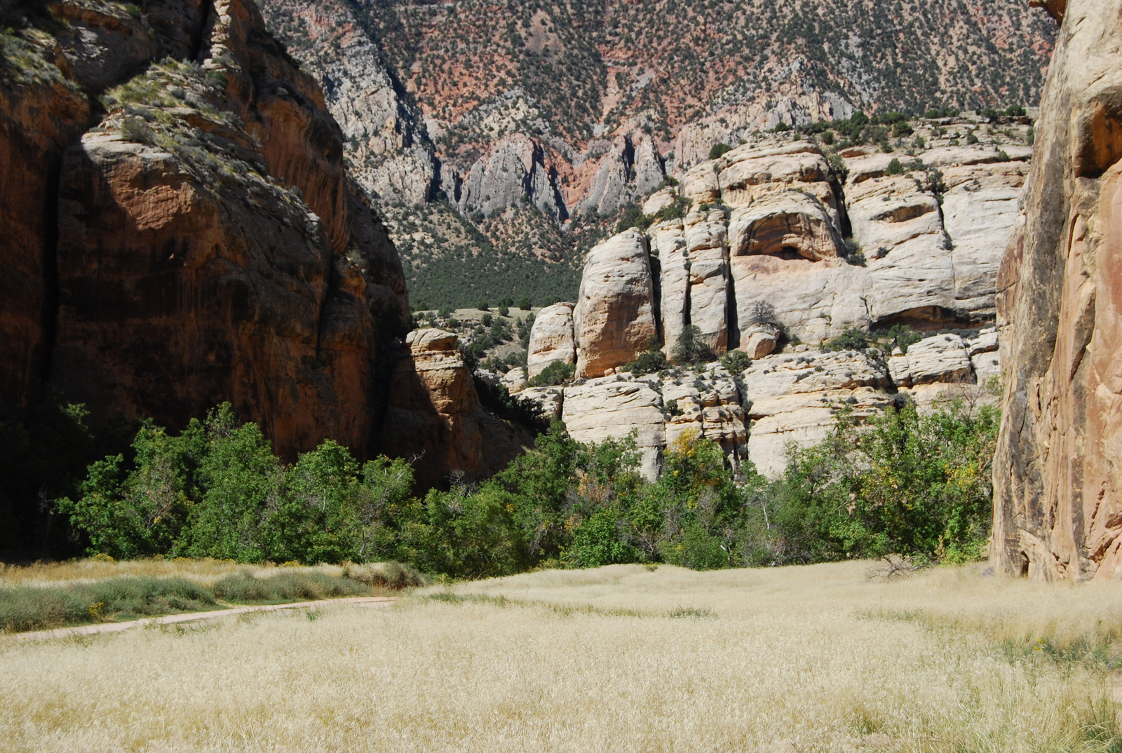 US14 0919 048 Echo Park Road, Dinosaur NM, CO