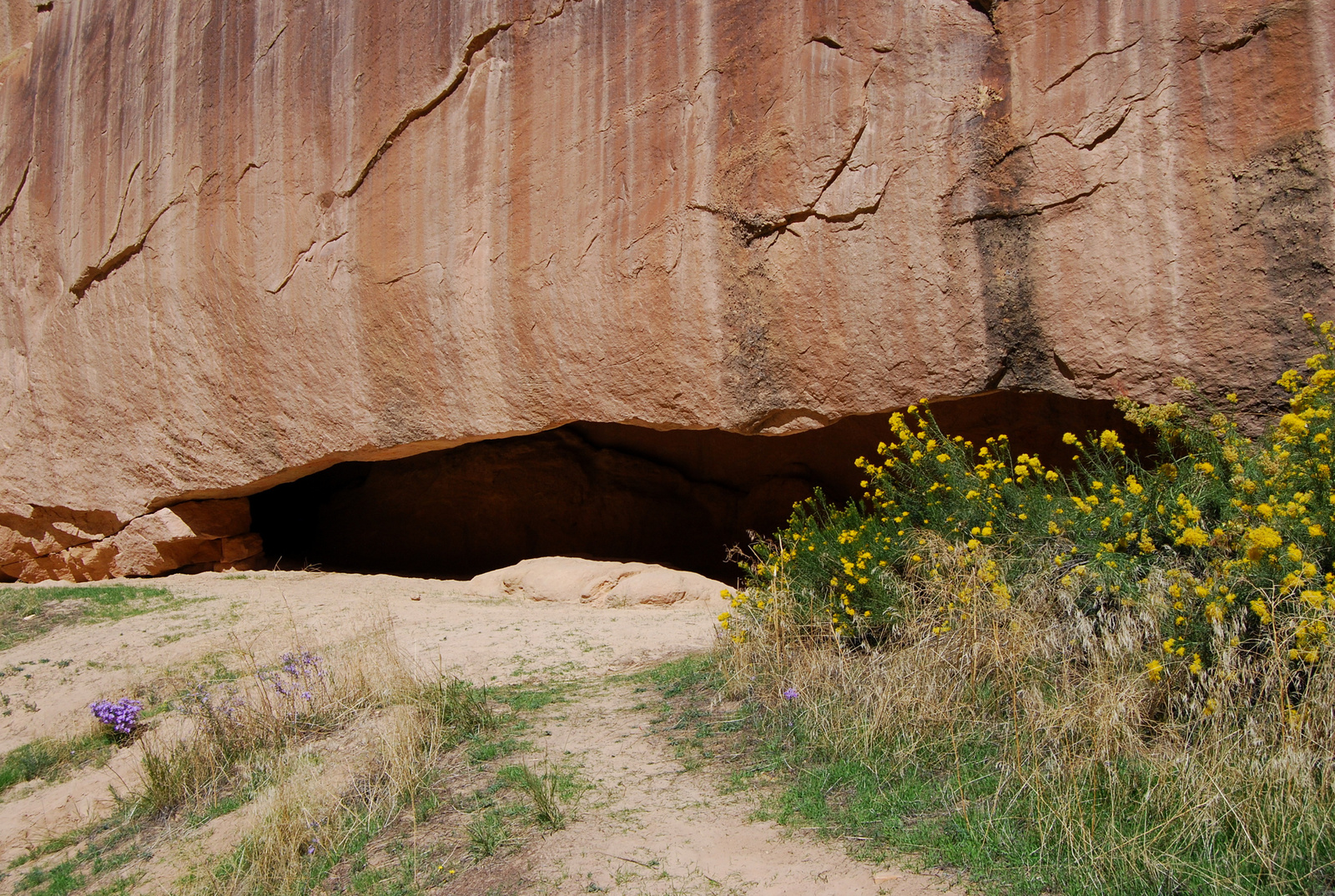 US14 0919 050 Echo Park Road, Dinosaur NM, CO