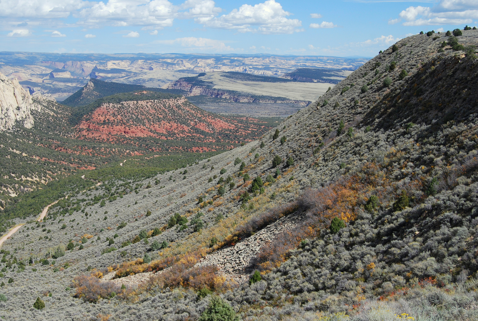 US14 0919 059 Echo Park Road, Dinosaur NM, CO