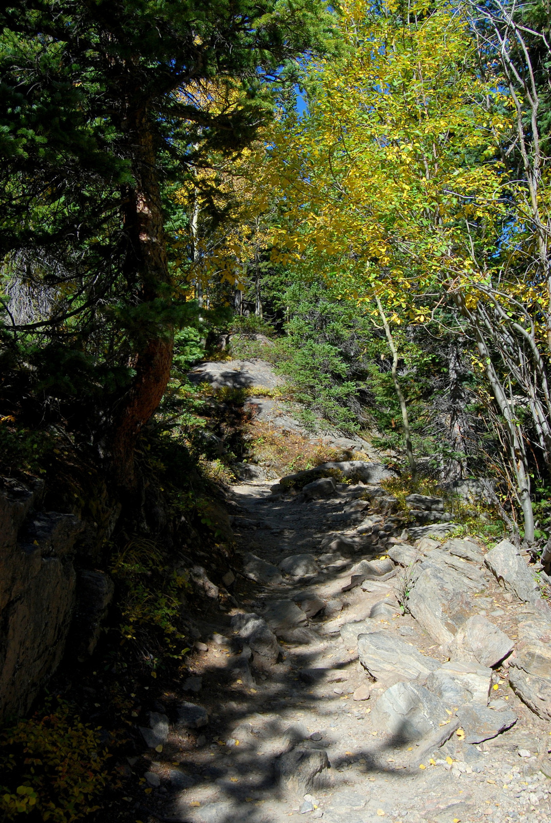 US14 0925 004 Glacier Gorge Trail, Rocky Mtn NP, CO