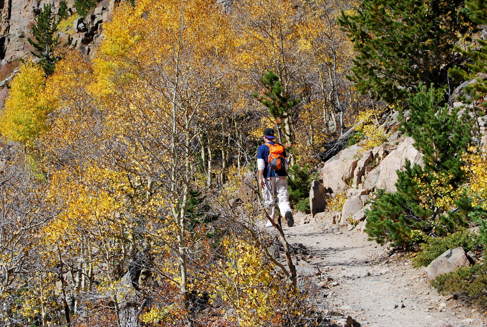 US14 0925 009 Glacier Gorge Trail, Rocky Mtn NP, CO