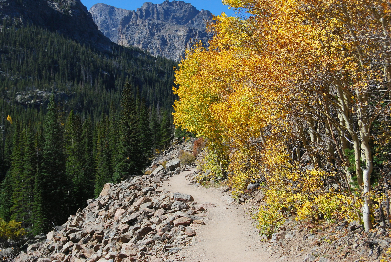 US14 0925 013 Glacier Gorge Trail, Rocky Mtn NP, CO