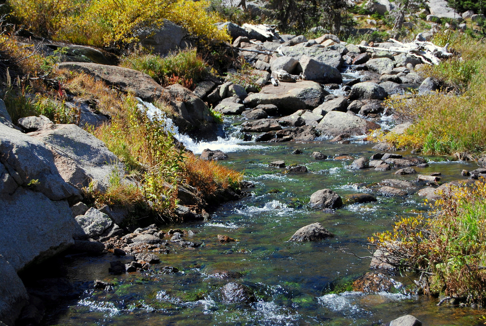 US14 0925 026 Glacier Gorge Trail, Rocky Mtn NP, CO