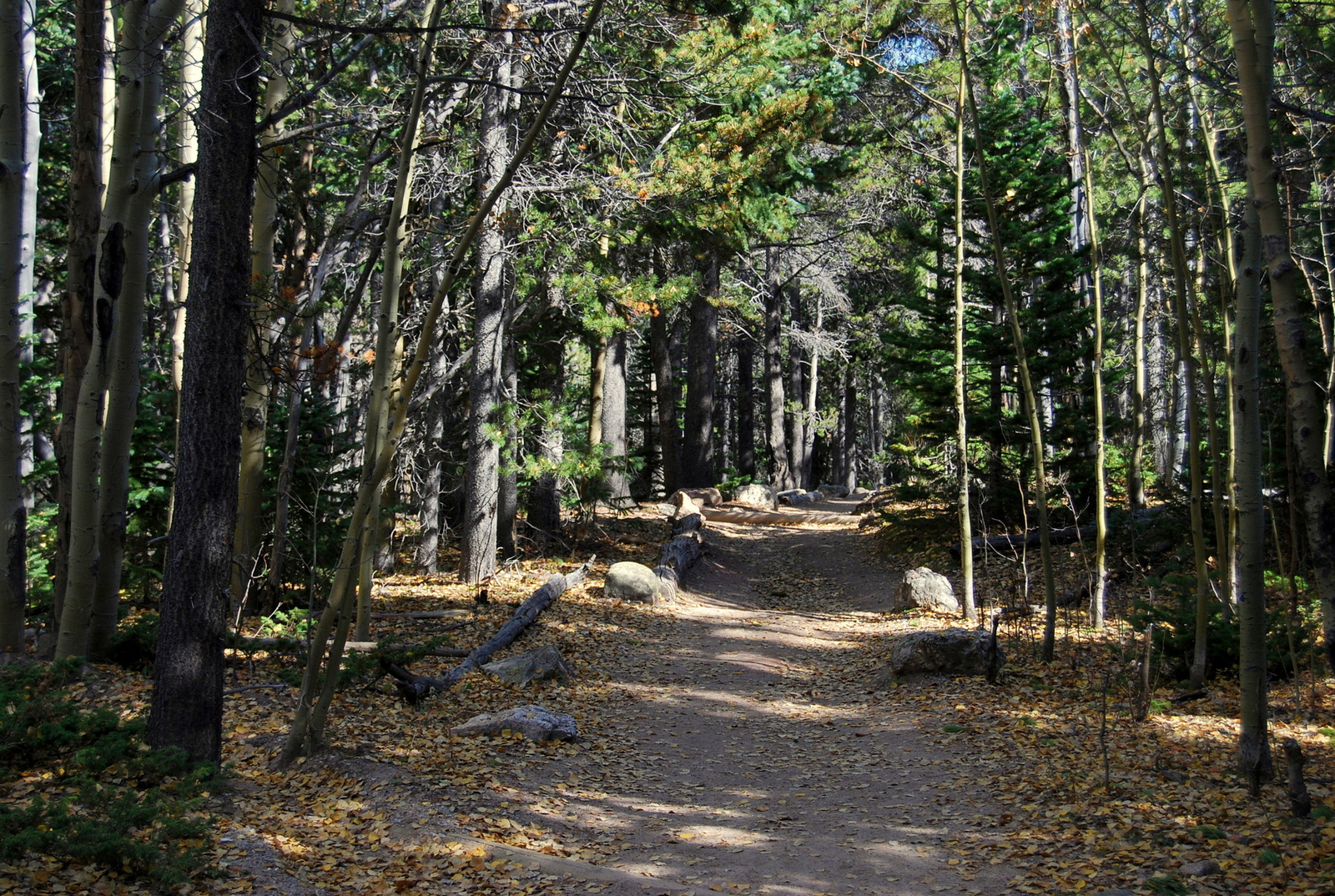 US14 0926 042 Chasm Lake Trail, Rocky Mtn NP, CO