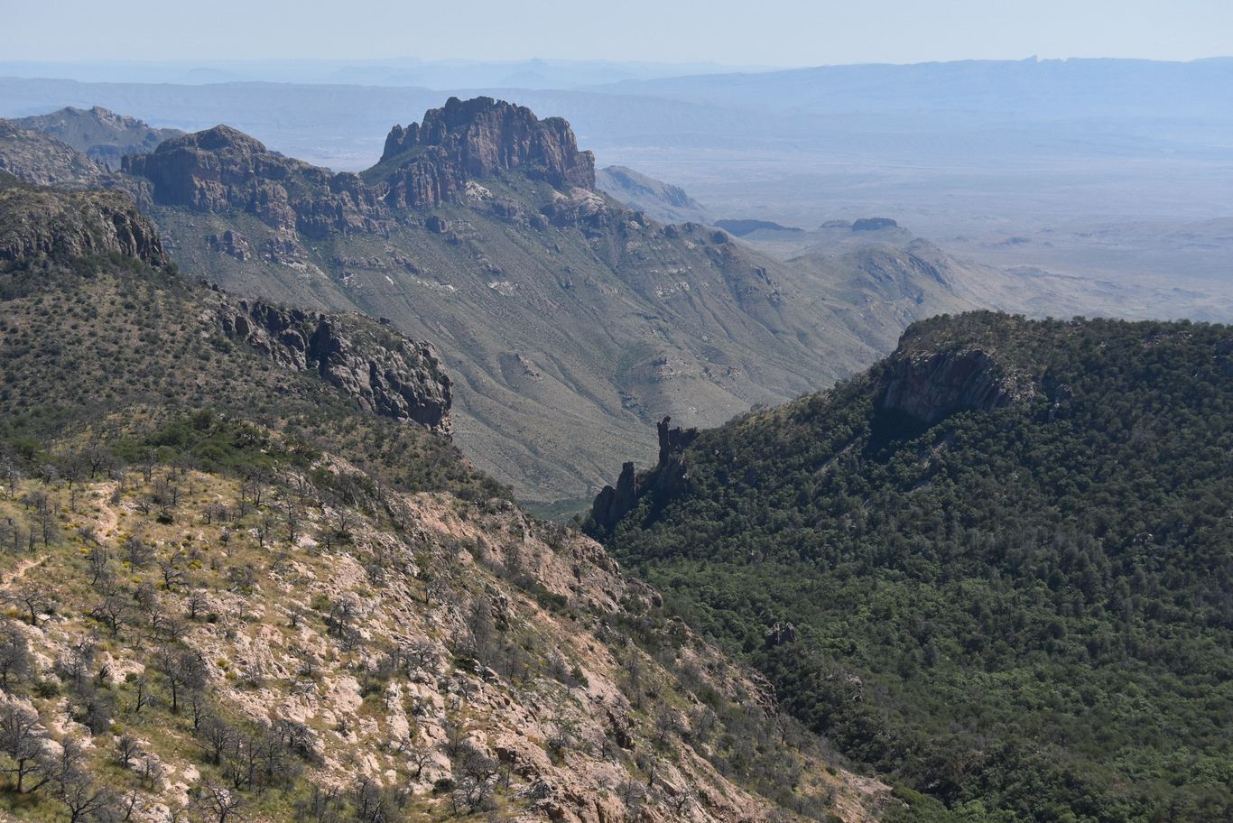 US15 0916 22 Chisos Basin, Big Band NP, TX