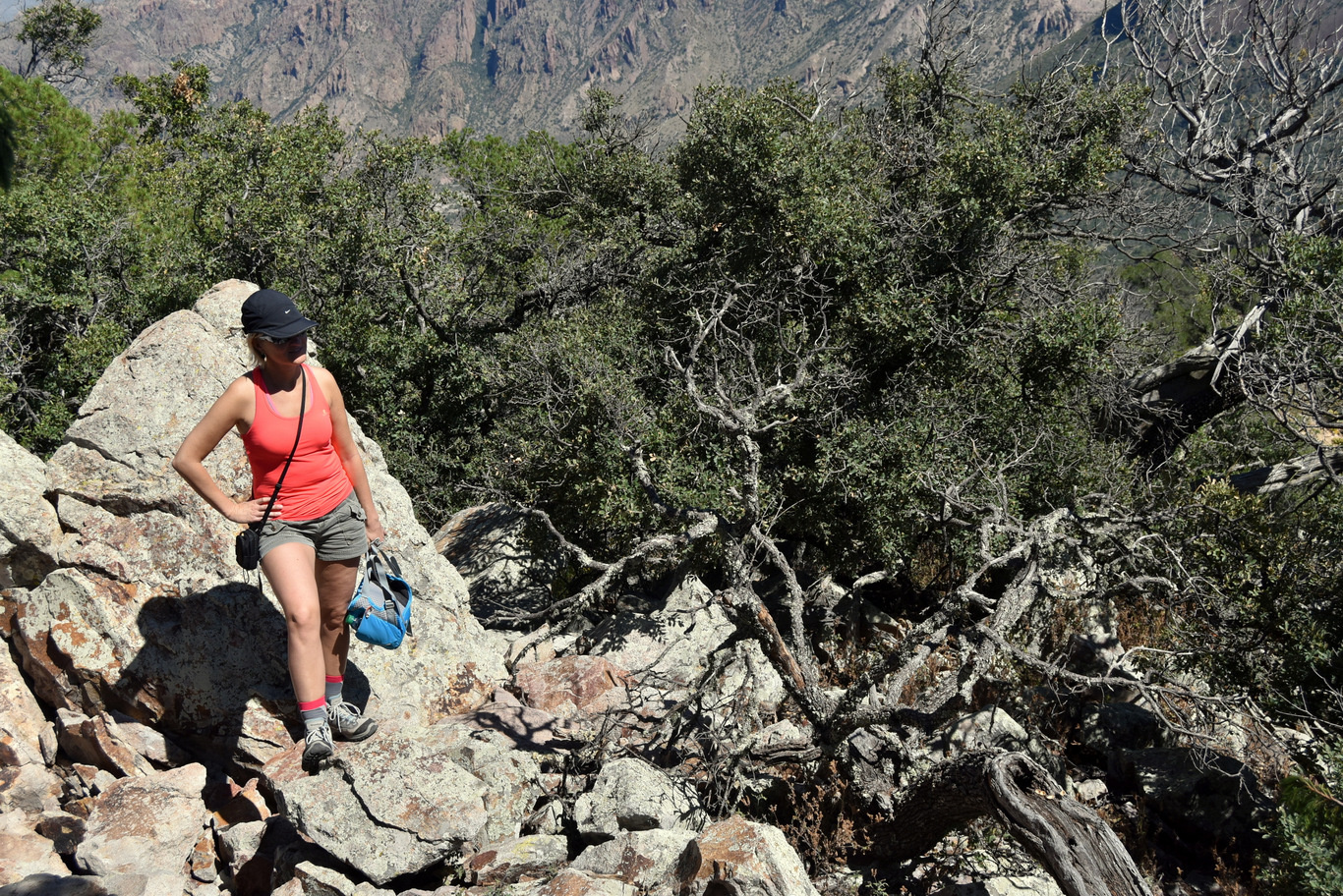 US15 0916 25 Chisos Basin, Big Band NP, TX