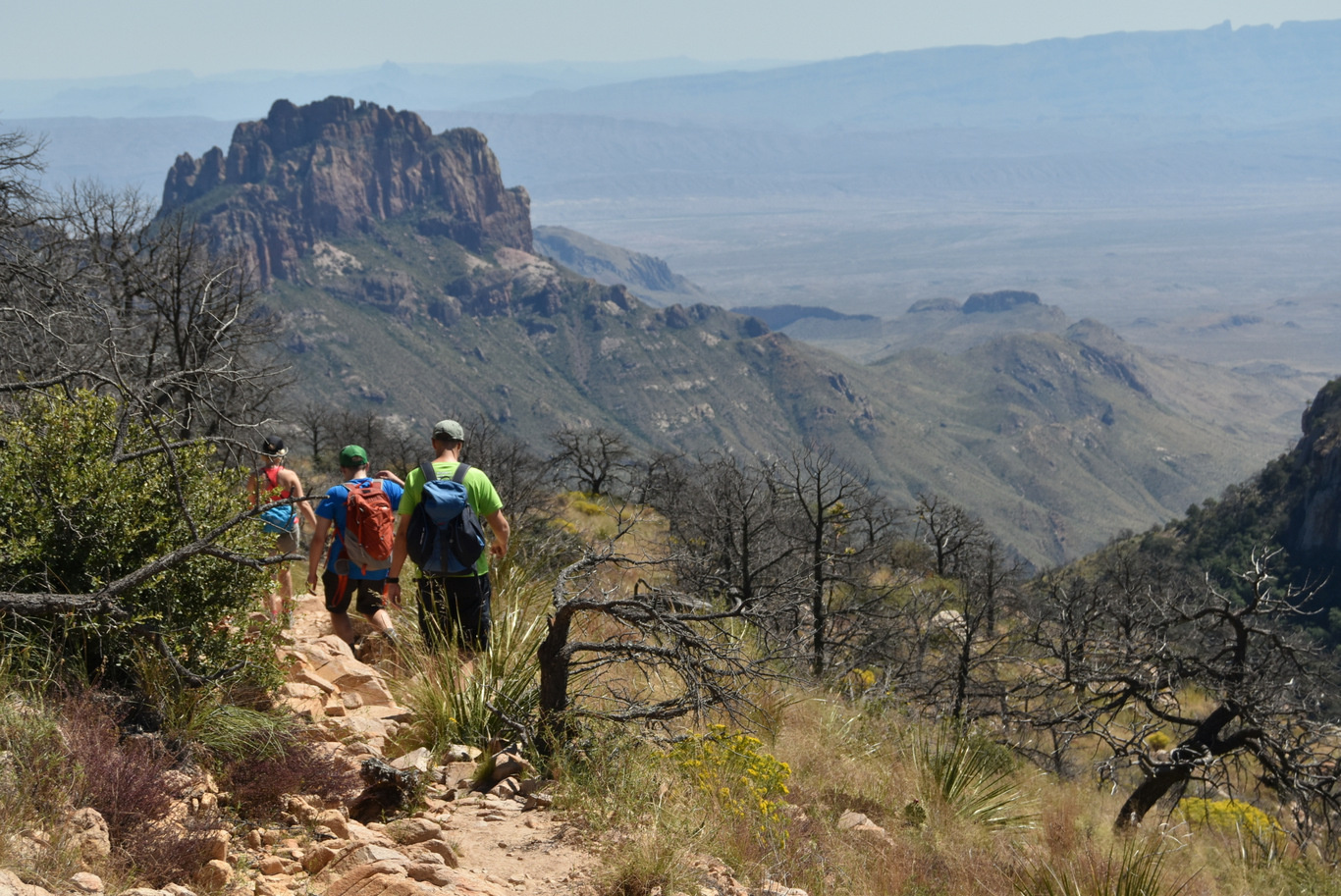 US15 0916 28 Chisos Basin, Big Band NP, TX