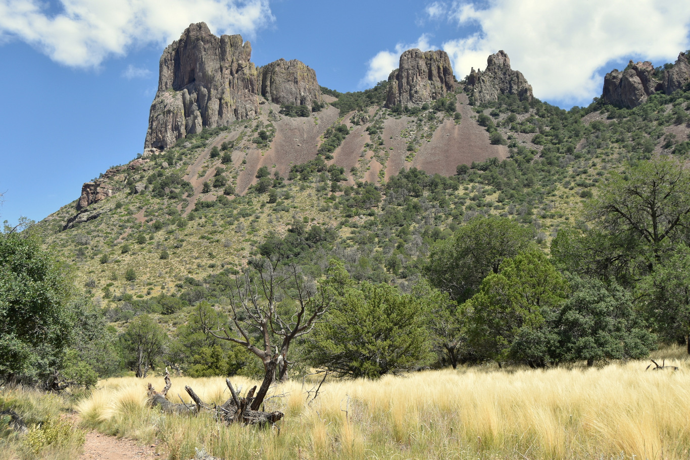 US15 0916 36 Chisos Basin, Big Band NP, TX